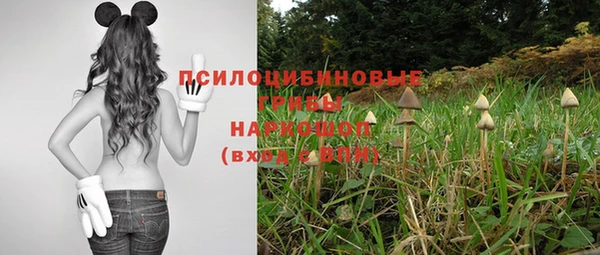 шишки Алексеевка