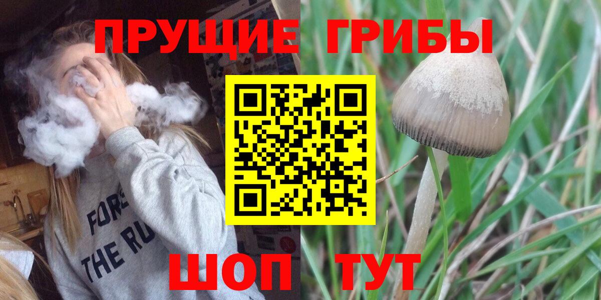 Галлюциногенные грибы MAGIC MUSHROOMS Махачкала